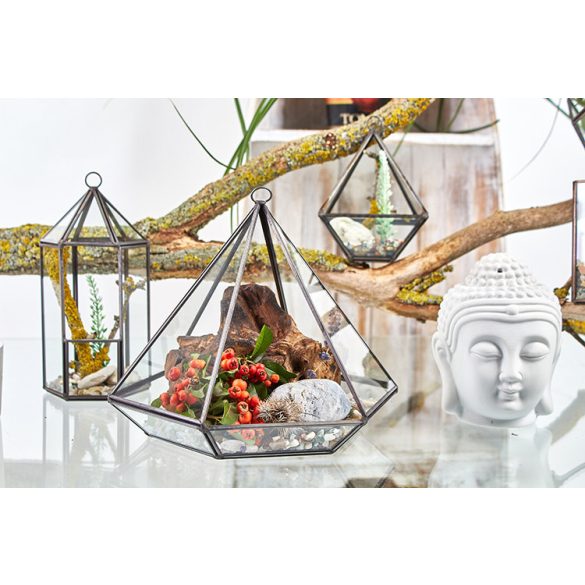 Üveg Terrárium - Nagy Gyémánt