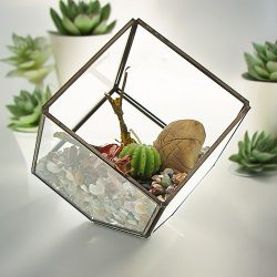 Üveg Terrárium - Kocka