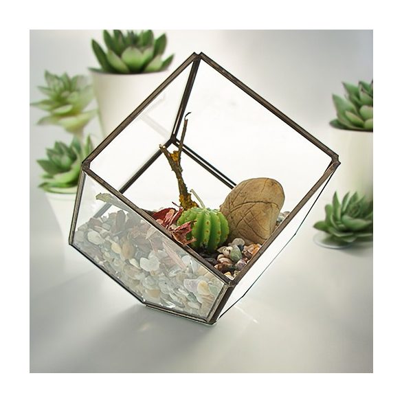 Üveg Terrárium - Kocka