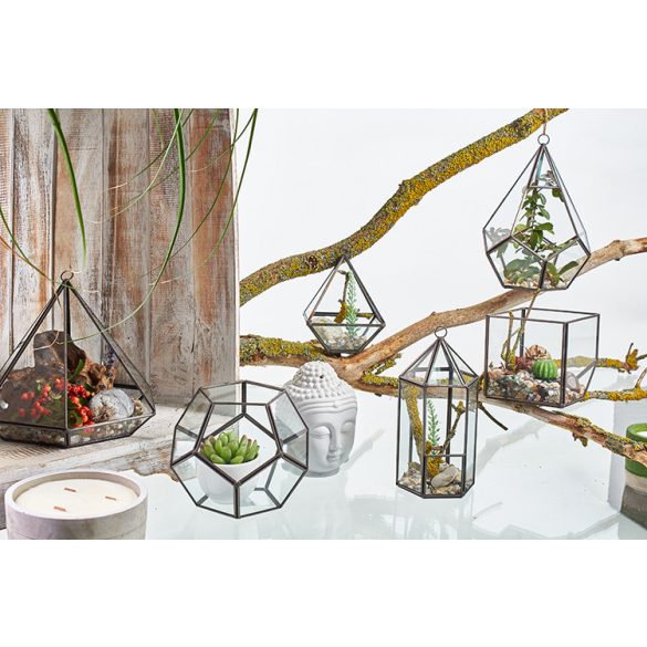 Üveg Terrárium - Kocka