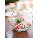 Üveg Terrárium - Kocka