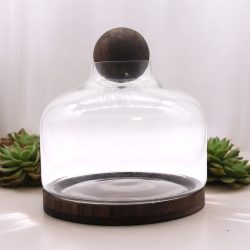   Extra Nagy Terrárium Sötét Tung Fával és Golyóval - 23x23cm