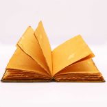 Cserzett Napló - Cink Bagoly - 200 oldal - 26x18cm