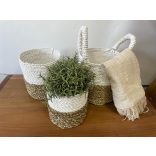 Tengerifű Fonott Kosár Együttes - Natúr/Fehér